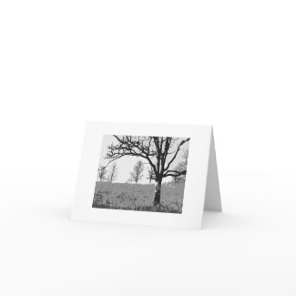 Tree Art notecard card