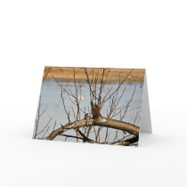 Tree at Jug Bay Note Card by phipix Tree at Jug Bay Note Card