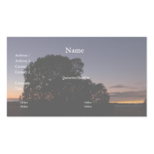 Tree at Night 1 Business Card