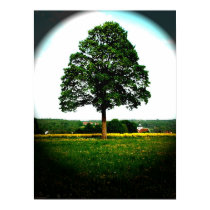 Tree at summertime posters by photomorgana Tree at summertime posters