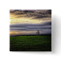 Tree at sunset button pin buttons