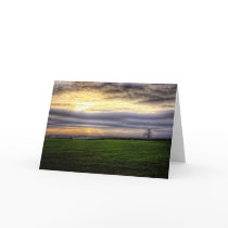 Tree at sunset greetings card cards