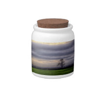 Tree at sunset HDR photography candy jar candy jars