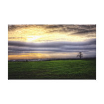 Tree at sunset HDR photography canvas print canvas prints