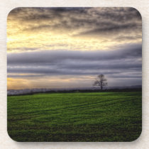 Tree at sunset HDR photography cork coaster set cork coasters