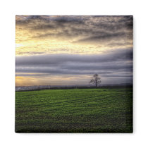 Tree at sunset HDR photography fridge magnet magnets