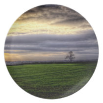 Tree at sunset HDR photography plate plates