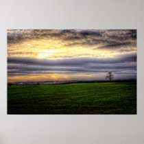 Tree at sunset HDR photography poster print posters
