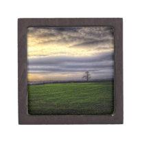 Tree at sunset HDR photography premium gift box premium gift boxes