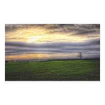 Tree at sunset HDR photography rectangle sticker stickers