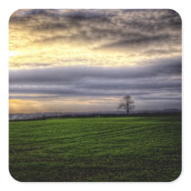 Tree at sunset HDR photography square sticker stickers