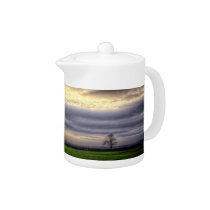 Tree at sunset HDR photography teapot teapots