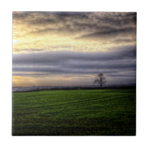 Tree at sunset HDR photography tile tiles
