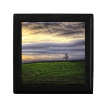 Tree at sunset HDR photography wooden gift box gift boxes