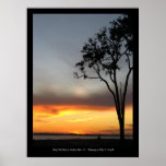 Tree at sunset on Bloody Point Beach Print