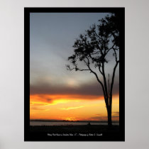 Tree at sunset on Bloody Point Beach Print