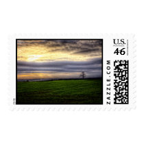 Tree at sunset postage stamps stamps
