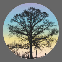 Tree at Sunset stickers