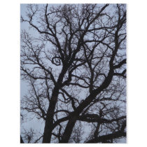 Tree at Twilight flyers
