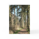 tree avenue cards