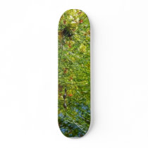 Tree Balboa Park Cactus skateboards by lifesphere Tree Balboa Park Cactus skateboards