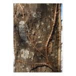 Tree Bark 33 ~ ATC Business Card