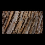 Tree Bark Abstract Photography Print