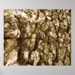 Tree Bark Abstract Poster Print