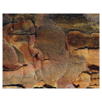 Tree bark background flyer