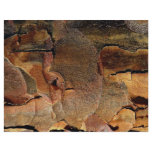 Tree bark background flyers