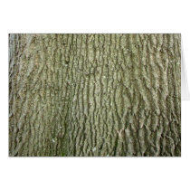 Tree Bark Blank Note Card cards