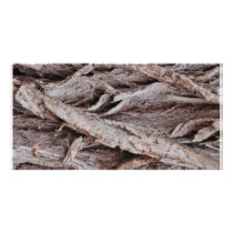 Tree Bark Design Picture Card