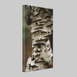 Tree Bark canvas prints