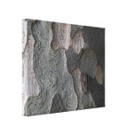 Tree Bark macro photography Canvas Prints