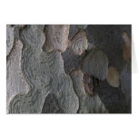 Tree Bark macro photography Cards