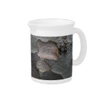 Tree Bark macro photography Drink Pitcher