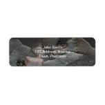 Tree Bark macro photography Labels