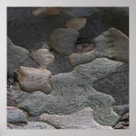 Tree Bark macro photography Poster