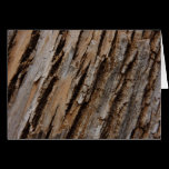 Tree Bark Nature Card
