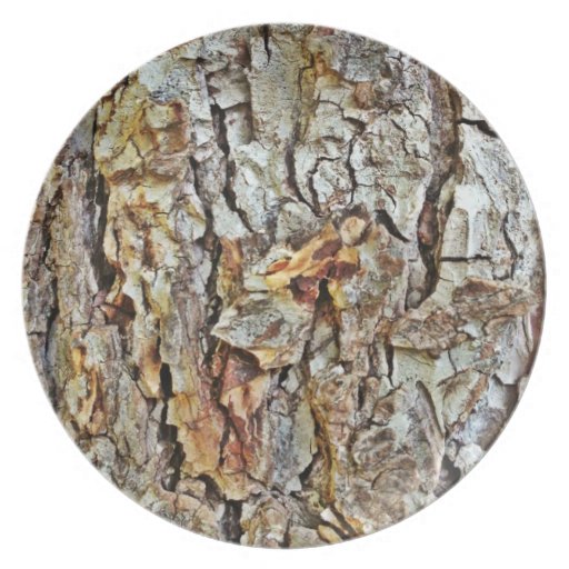 Tree Bark Plate Zazzle