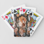 Tree Bark Playing Cards playing cards