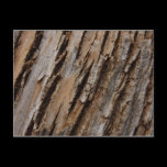 Tree Bark Postcard