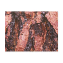 Tree bark Postcard
