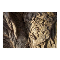 Tree bark posters by LazyLuxury Tree bark posters