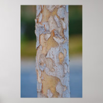 Tree Bark Print