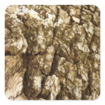 Tree Bark Sticker