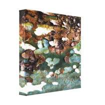Tree Bark Texture Canvas