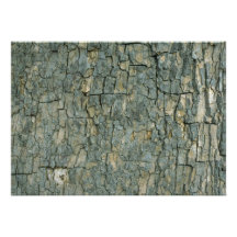 Tree bark texture custom invitations