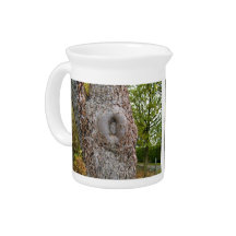 Tree Bark Texture in detail Drink Pitchers