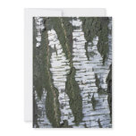 Tree bark texture custom announcements